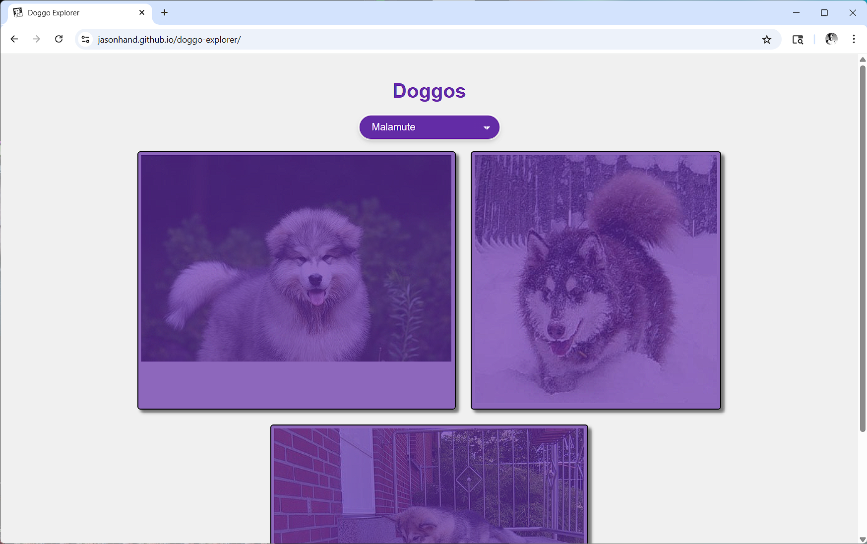 Screenshot of Doggo Explorer